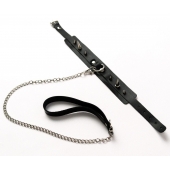 Черный ошейник с шипами и поводком - Crazy Handmade - купить с доставкой в Обнинске