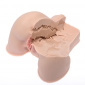 Мастурбатор-полуторс Naked Factory Kate - Naked Factory - в Обнинске купить с доставкой