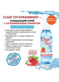 Очищающий спрей для игрушек CLEAR TOY Strawberry - 100 мл. - Биоритм - купить с доставкой в Обнинске