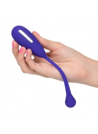 Фиолетовый шарик с электростимуляцией и вибрацией Intimate E-Stimulator Remote Kegel Exerciser - California Exotic Novelties - купить с доставкой в Обнинске