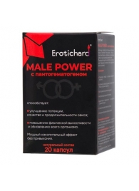 Капсулы для мужчин Erotichard male power с пантогематогеном - 20 капсул (0,370 гр.) - Erotic Hard - купить с доставкой в Обнинске