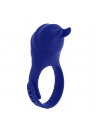 Синее эрекционное виброкольцо с клиторальной подушечкой и пультом ДУ Adjustable Fun Ring - Zero Tolerance - в Обнинске купить с доставкой
