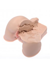 Мастурбатор-полуторс Naked Factory Kate - Naked Factory - в Обнинске купить с доставкой