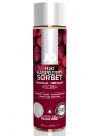 Лубрикант на водной основе с ароматом малины JO Flavored Raspberry Sorbet - 120 мл. - System JO - купить с доставкой в Обнинске