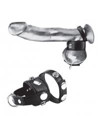 Утяжка для мошонки и пениса Cock Ring With 1  Ball Stretcher And Optional Weight Ring - BlueLine - купить с доставкой в Обнинске