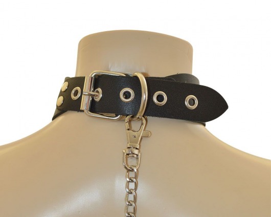 Ошейник  Веселый Роджер - Sitabella - купить с доставкой в Обнинске