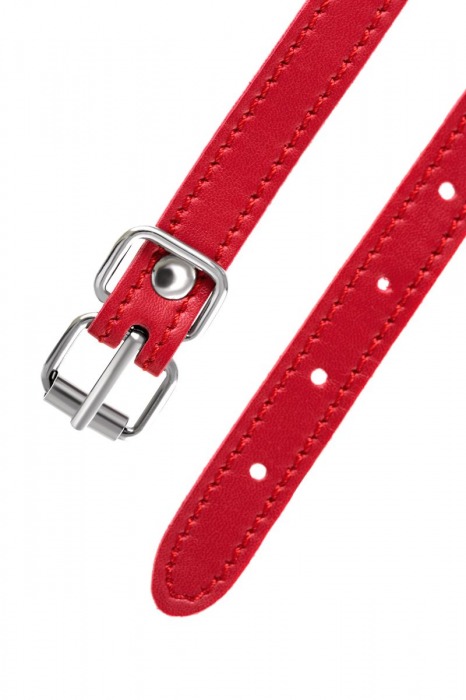 Красная маска Anonymo из искусственной кожи - ToyFa - купить с доставкой в Обнинске