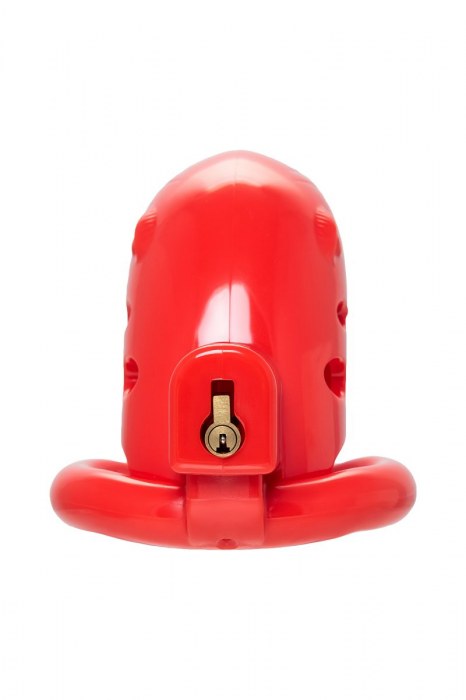 Красный мужской пояс верности из пластика - ToyFa - купить с доставкой в Обнинске