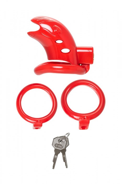 Красный мужской пояс верности из пластика - ToyFa - купить с доставкой в Обнинске