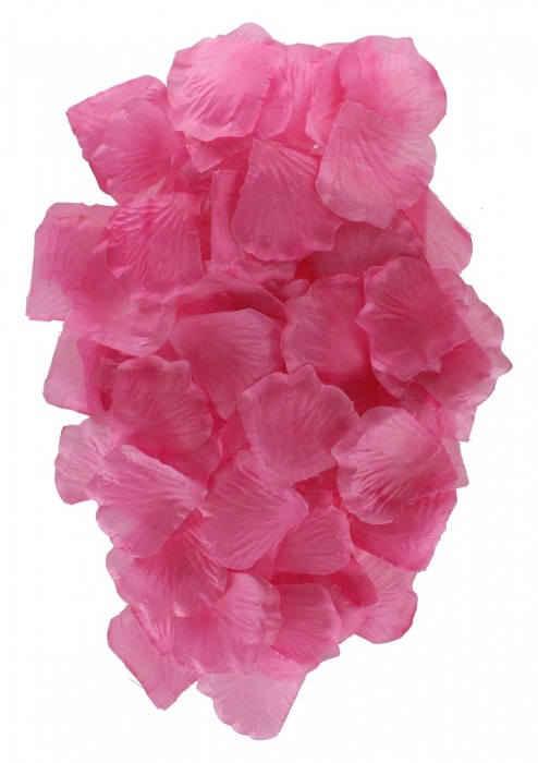 Эротический набор FANTASTIC PURPLE SEX TOY KIT - Toy Joy - купить с доставкой в Обнинске