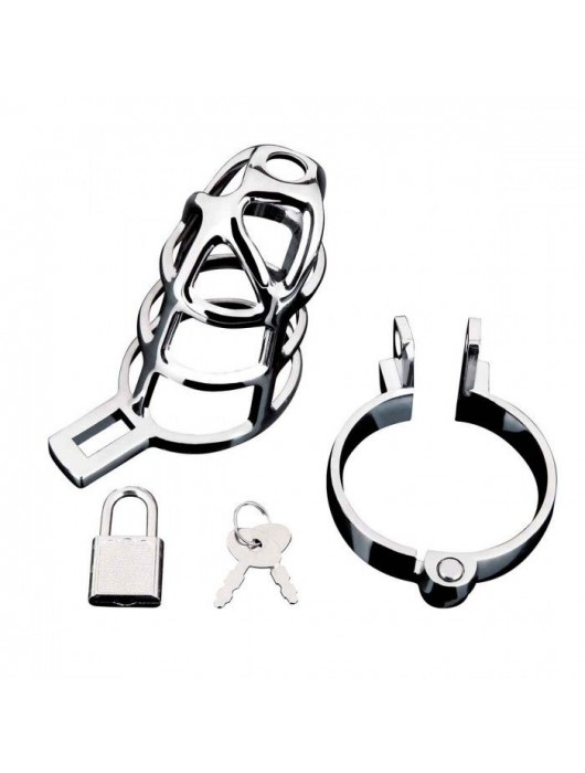 Серебристая металлическая клетка для члена с замком Enslave Cock Cage - BlueLine - купить с доставкой в Обнинске