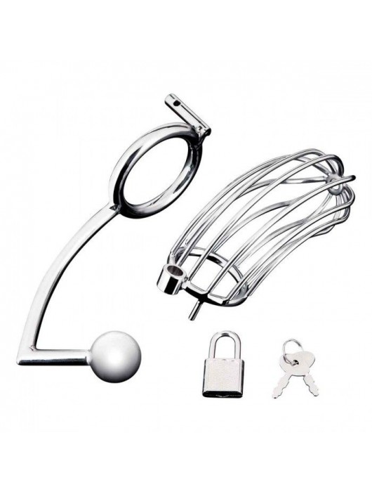 Серебристая металлическая клетка с анальным стимулятором Cock Cage - BlueLine - купить с доставкой в Обнинске