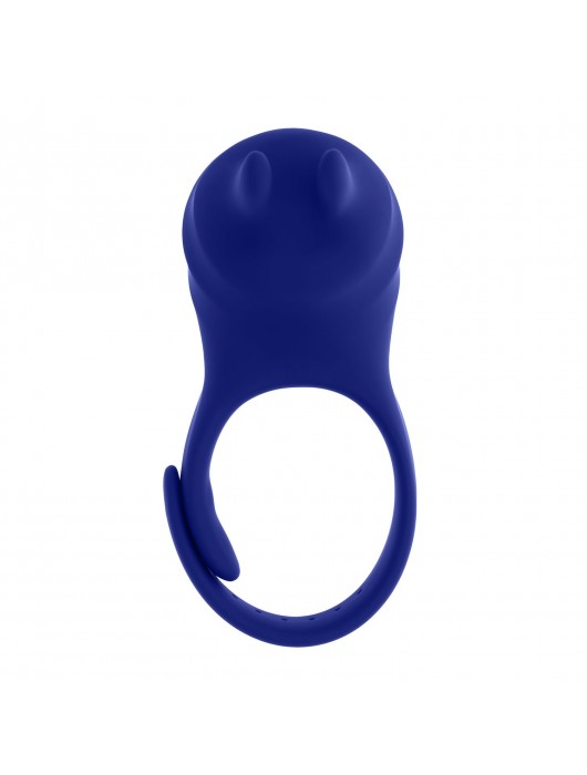 Синее эрекционное виброкольцо с клиторальной подушечкой и пультом ДУ Adjustable Fun Ring - Zero Tolerance - в Обнинске купить с доставкой