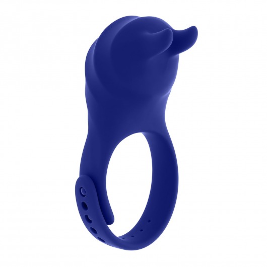 Синее эрекционное виброкольцо с клиторальной подушечкой и пультом ДУ Adjustable Fun Ring - Zero Tolerance - в Обнинске купить с доставкой