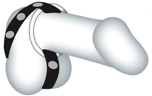 Подхват для мошонки с 3 съемными эрекционными кольцами Leder-Riemen - Orion - в Обнинске купить с доставкой