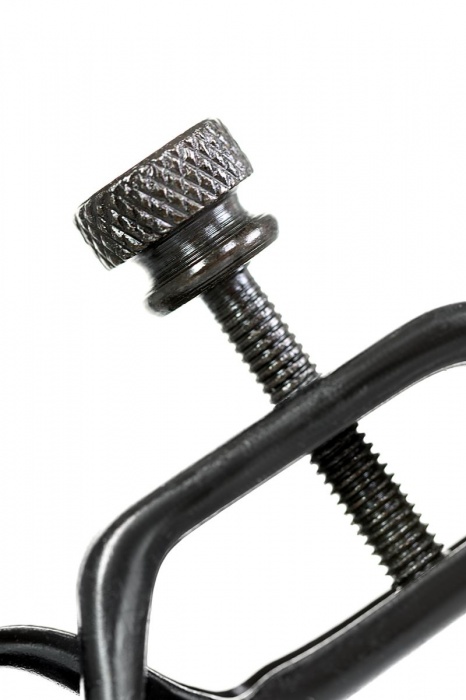 Черно-золотистые зажимы для сосков TOYFA Theatre - ToyFa - купить с доставкой в Обнинске